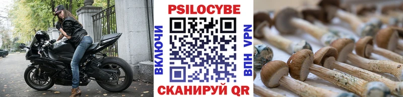 наркотики  Ноябрьск  Псилоцибиновые грибы Magic Shrooms 