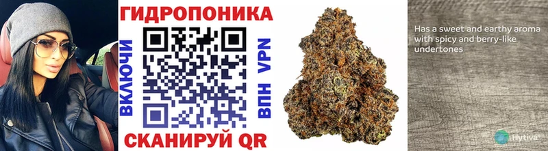 закладка  Ноябрьск  Канабис LSD WEED 